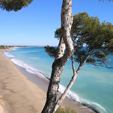 Calas